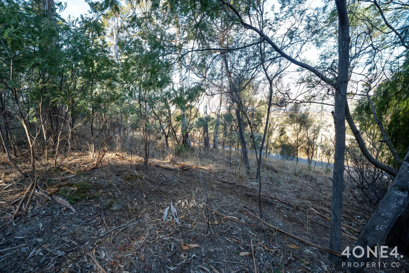 Image 15