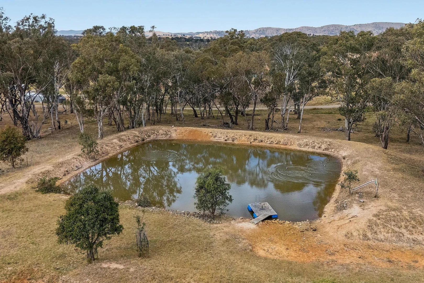 Additional image 30 of 124 Bendenine Road, Binalong NSW 2584