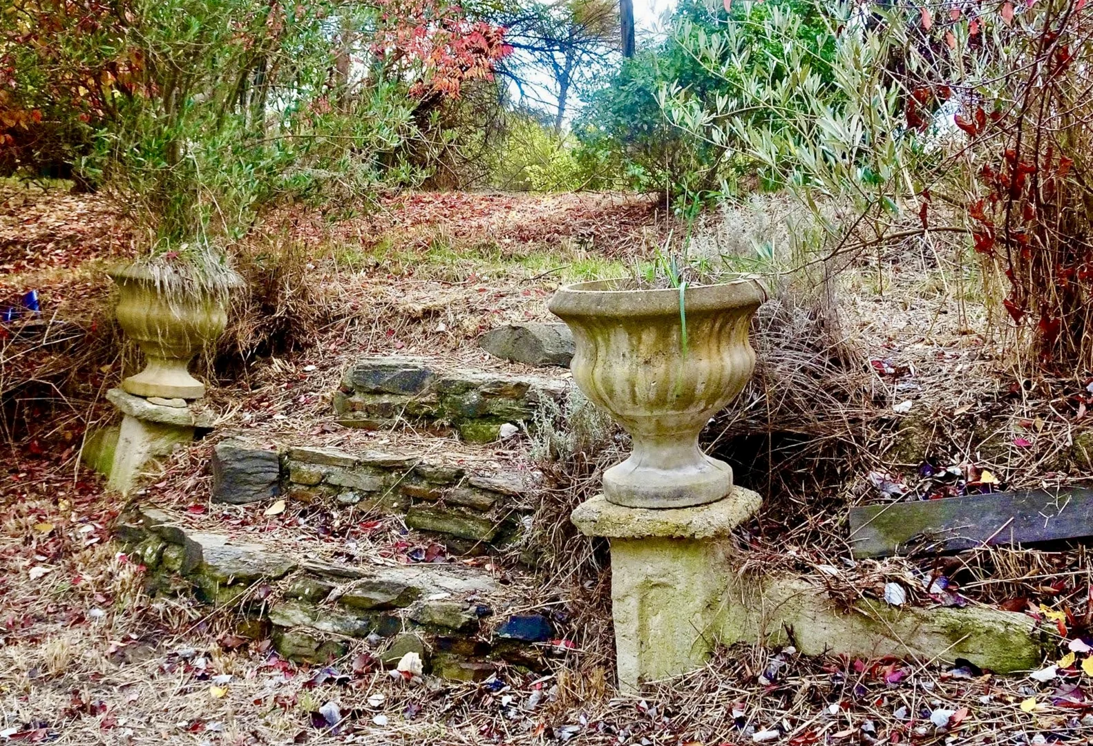 Image 19