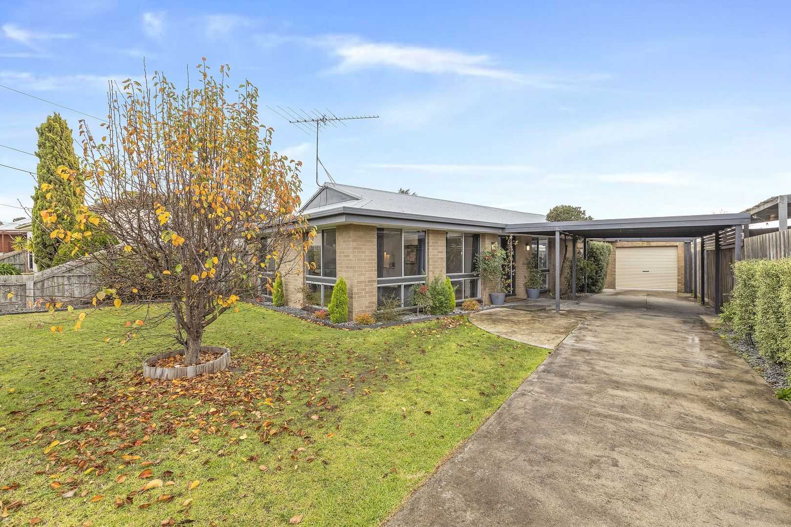 16 Darriwill Street, Bell Post Hill VIC 3215, Image 0