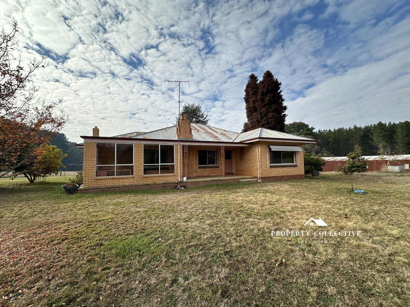 4 bedrooms House in 219 Hurdle Flat Road BEECHWORTH VIC, 3747