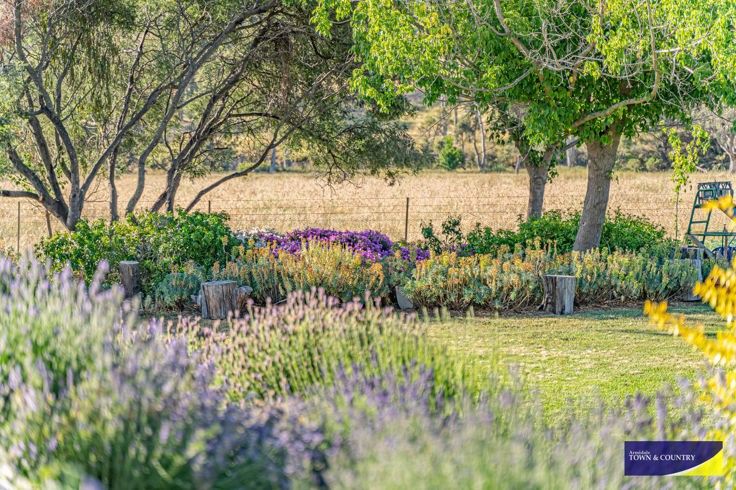 1 bedrooms Studio in  ARMIDALE NSW, 2350