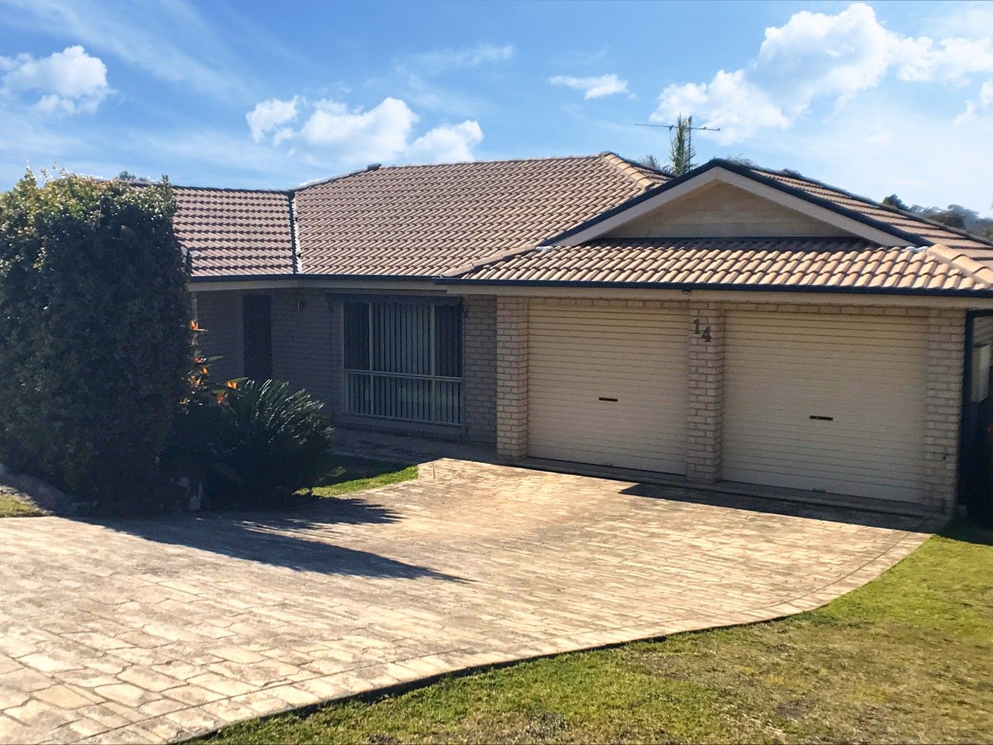 14 Shiraz Drive, Bonnells Bay NSW 2264 House For Rent 560 Domain