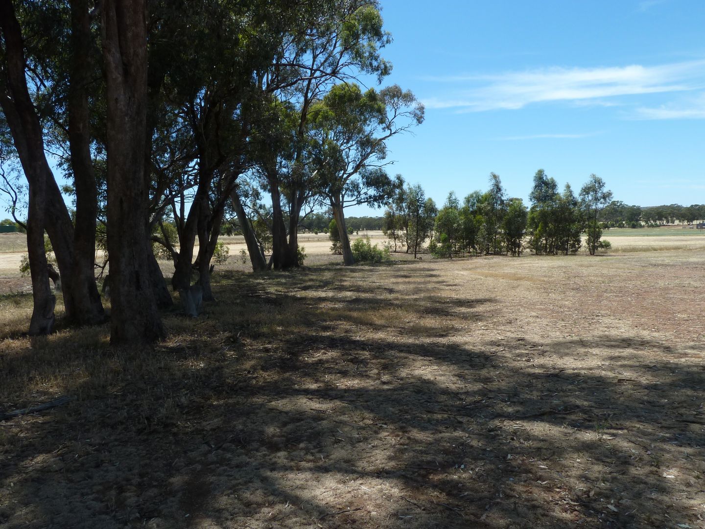 CA 3 Sec 7 Cahill Road, Wedderburn VIC 3518, Image 2