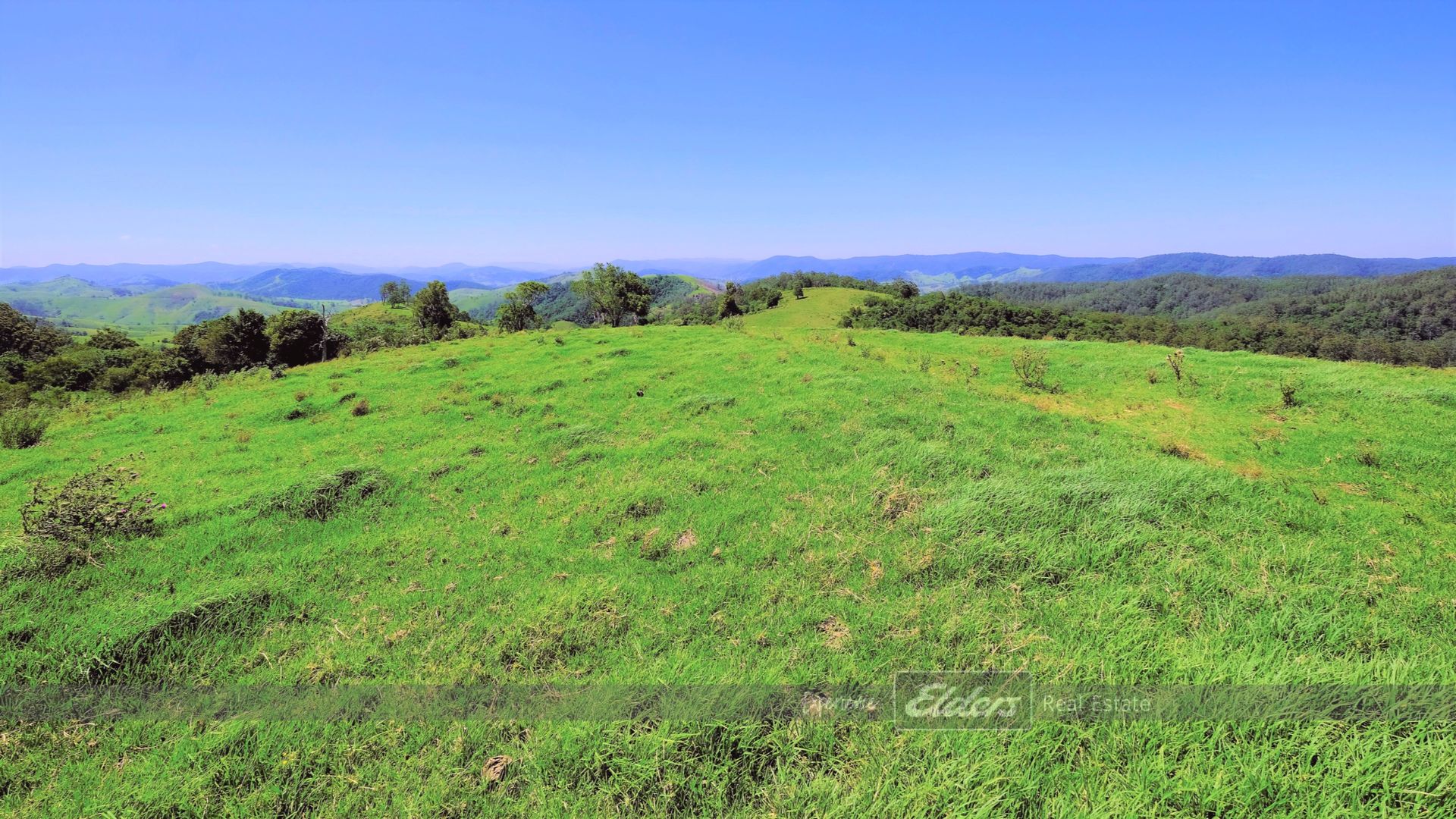 200 Days Road, Belbora NSW 2422