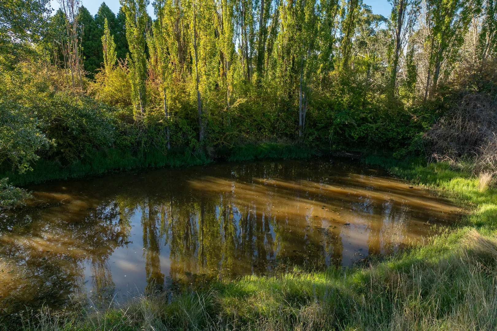 Additional image 31 of 473 Pinnacle Road, Orange NSW 2800