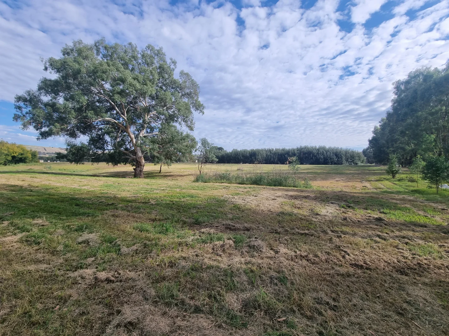 Additional image 6 of Lot Lot/316 Riverside Drive, Jugiong NSW 2726