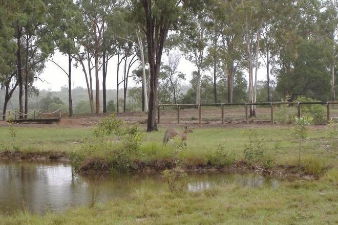 Picture of BURRUM RIVER QLD 4659