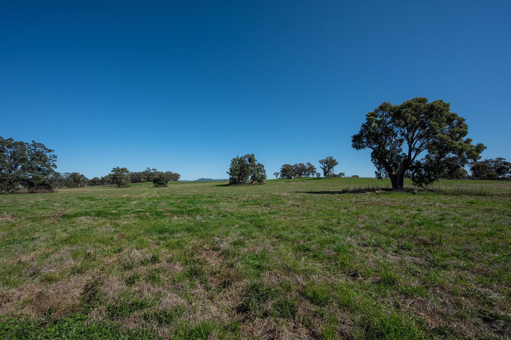 11 Adams Lead Road, Gulgong NSW 2852, Image 1