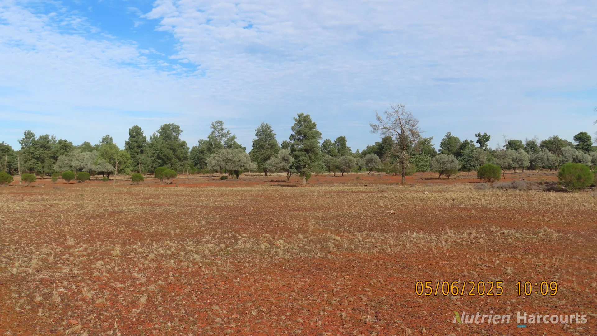 Image 10