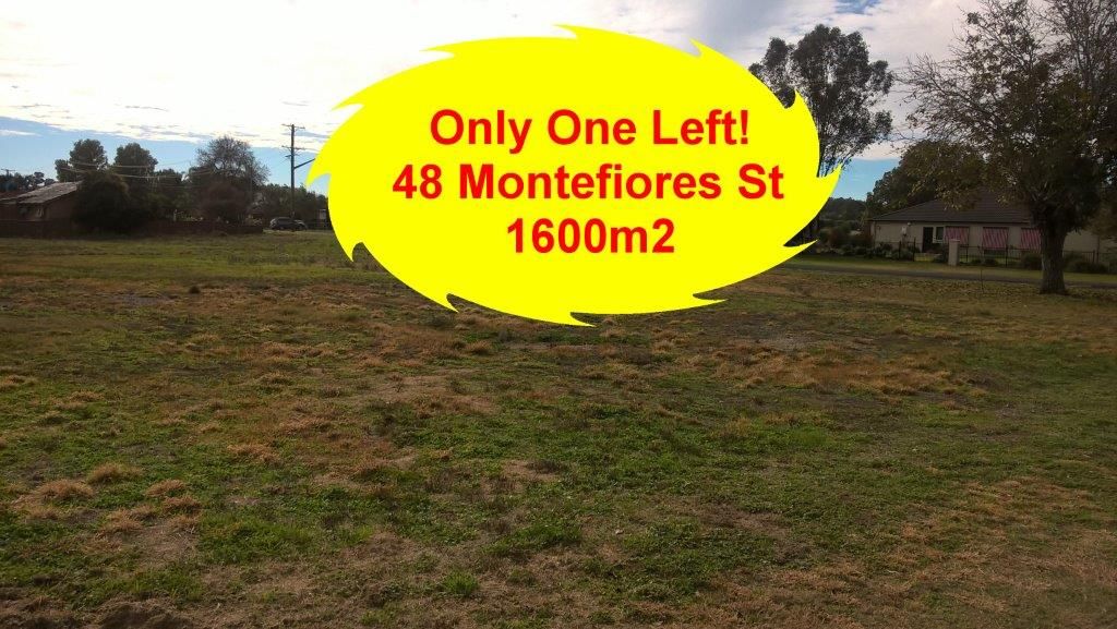 48 Montefiores Street, Wellington NSW 2820, Image 1