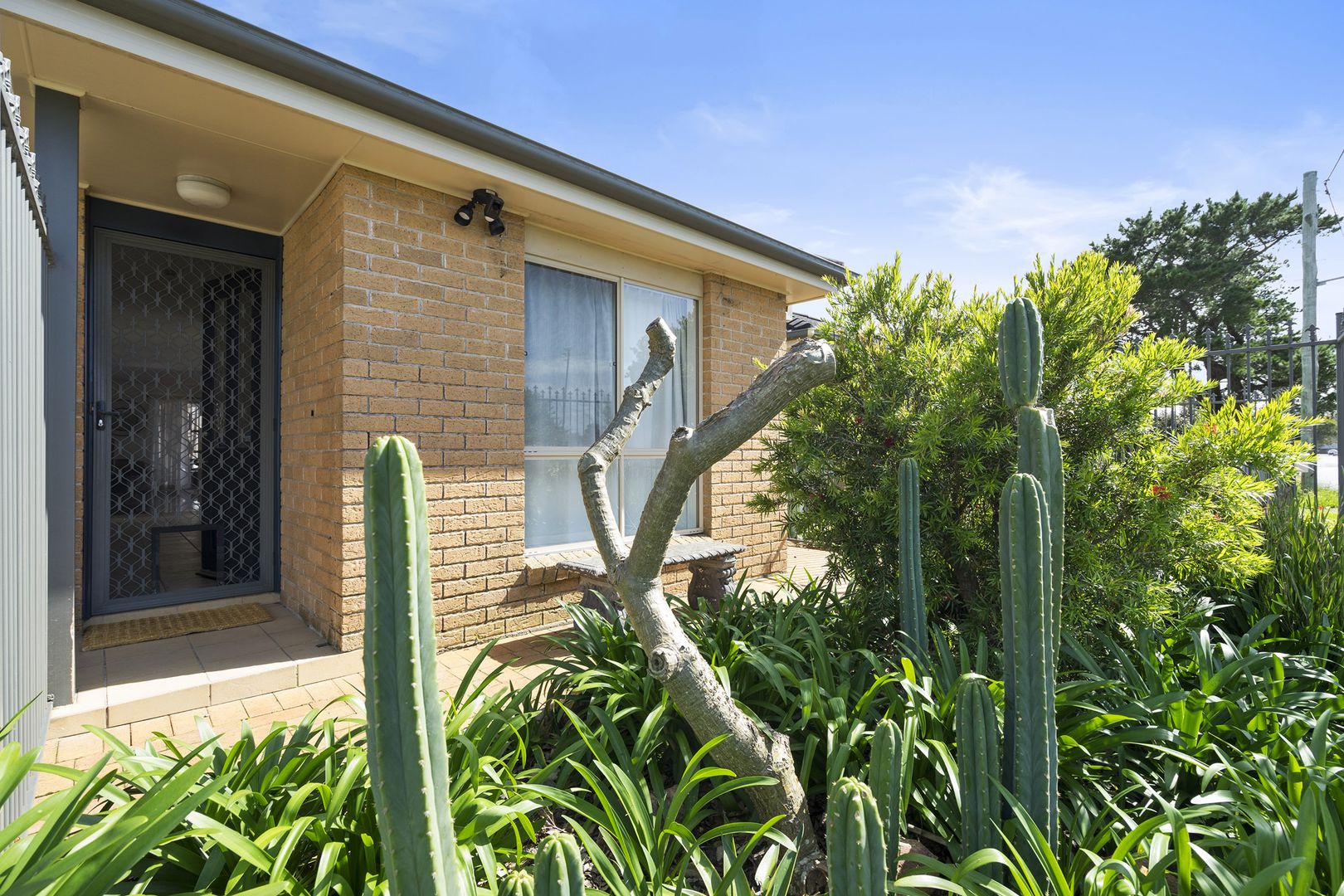 14 Myers Lane, Adamstown NSW 2289, Image 1