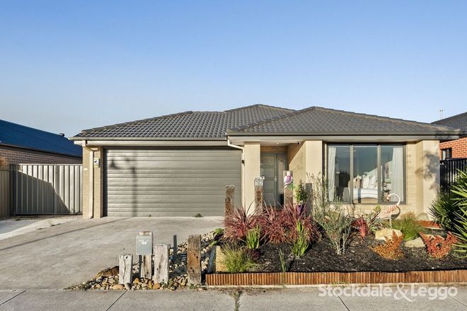 Picture of 12 Greenvale Drive, CURLEWIS VIC 3222