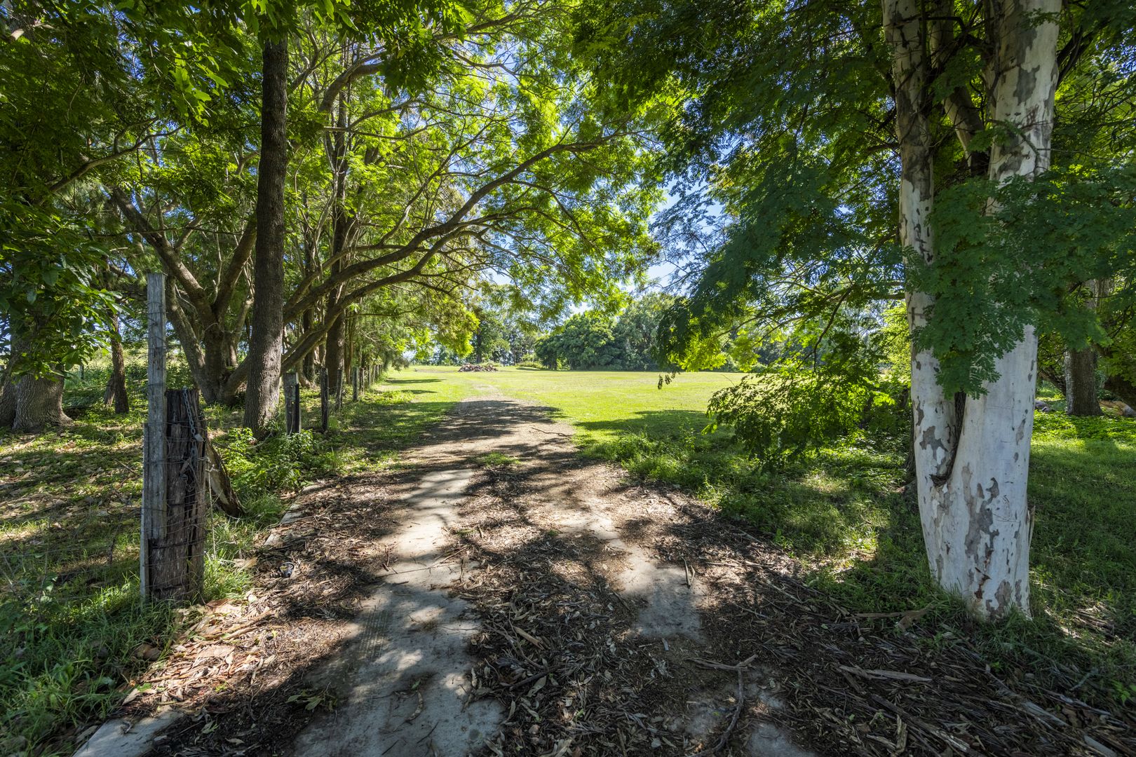 2317 Big River Way, Ulmarra NSW 2462 Domain