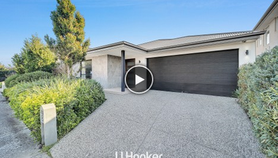 Picture of 8 Tallrush Street, CLYDE NORTH VIC 3978