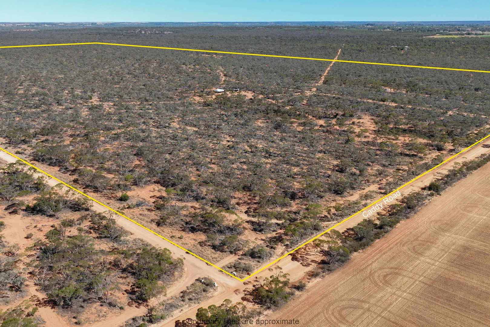 Additional image 9 of 652 Caddy Road, Loveday SA 5345
