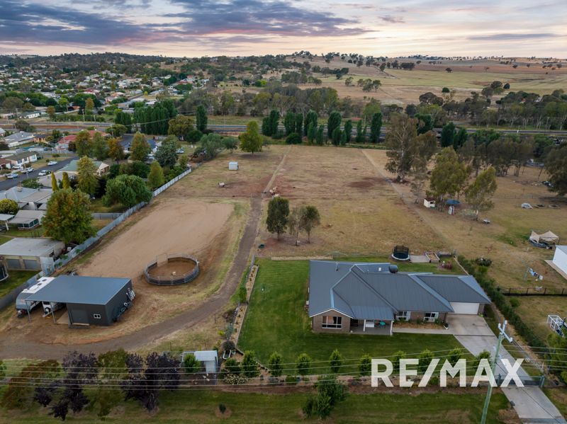 58 Harold Street, Junee NSW 2663 House for Sale Domain