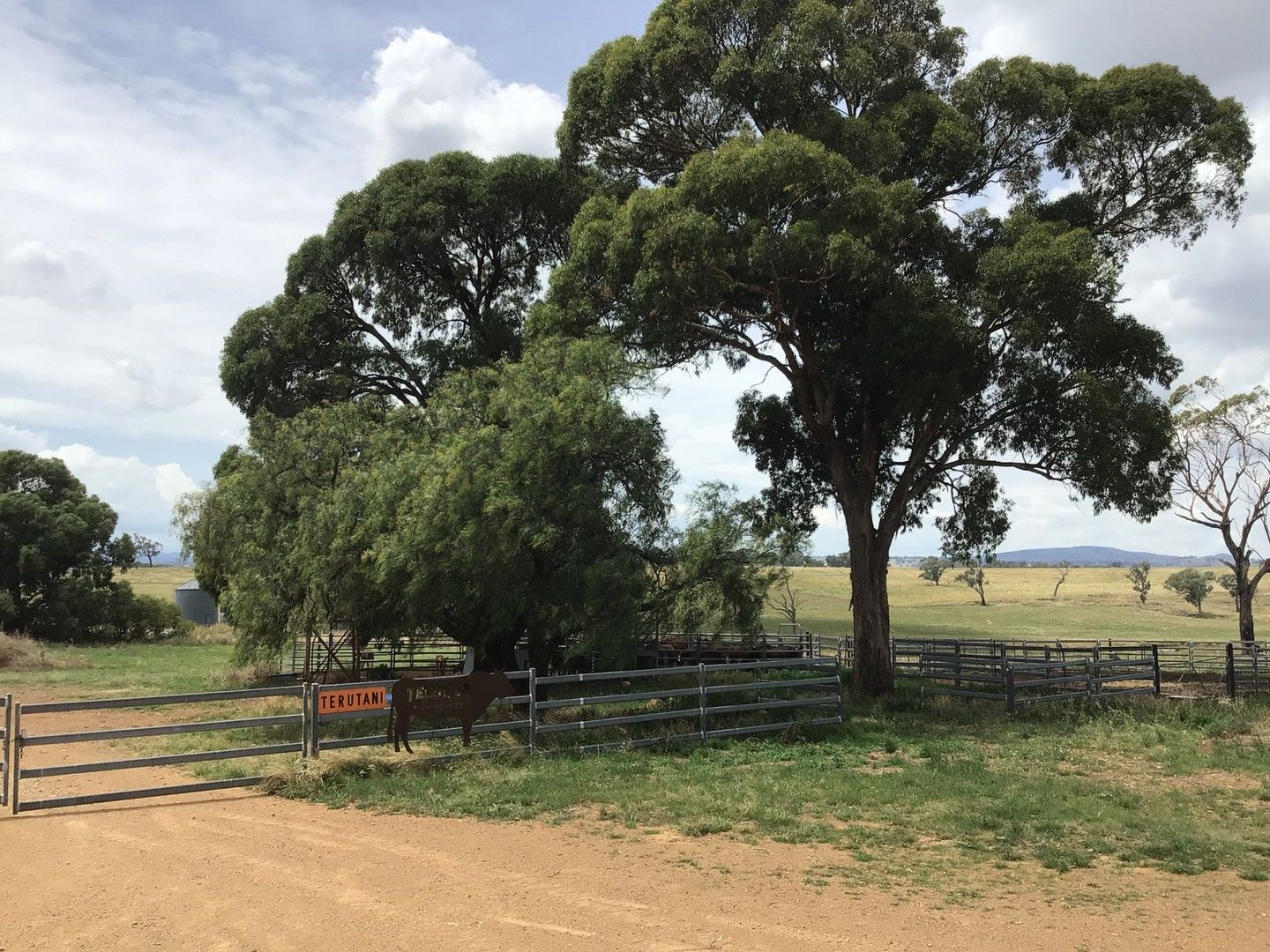 ‘Terutani’ 1097 Davys Plains Road, Cudal NSW 2864, Image 0