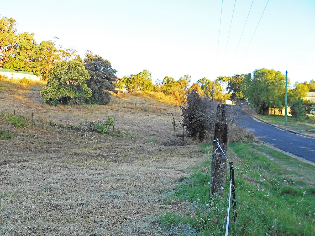 Lot 1/43 Hanley Lane, Gundagai NSW 2722, Image 1