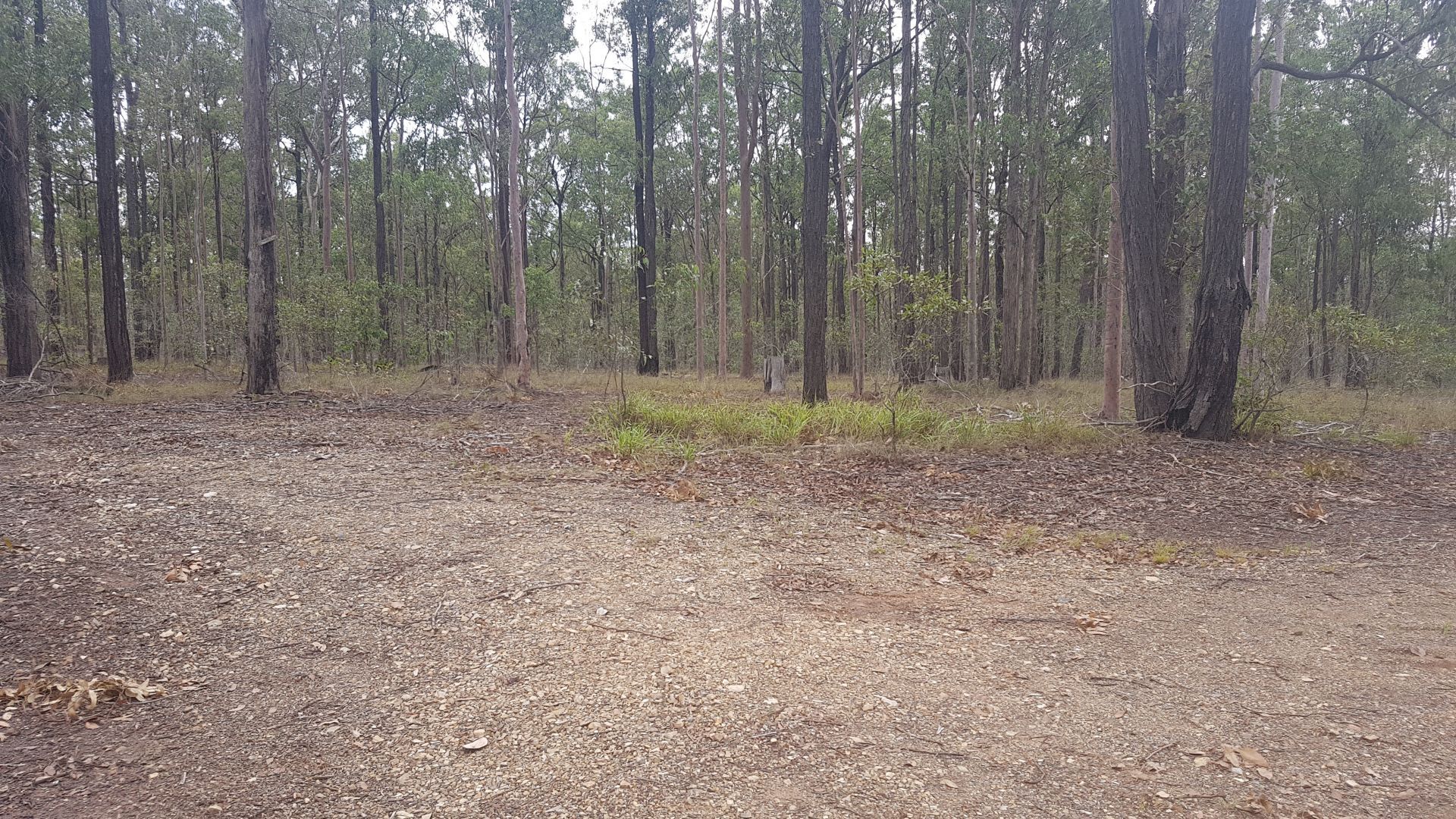 Lot 1 Ian Drive, Curra QLD 4570, Image 2