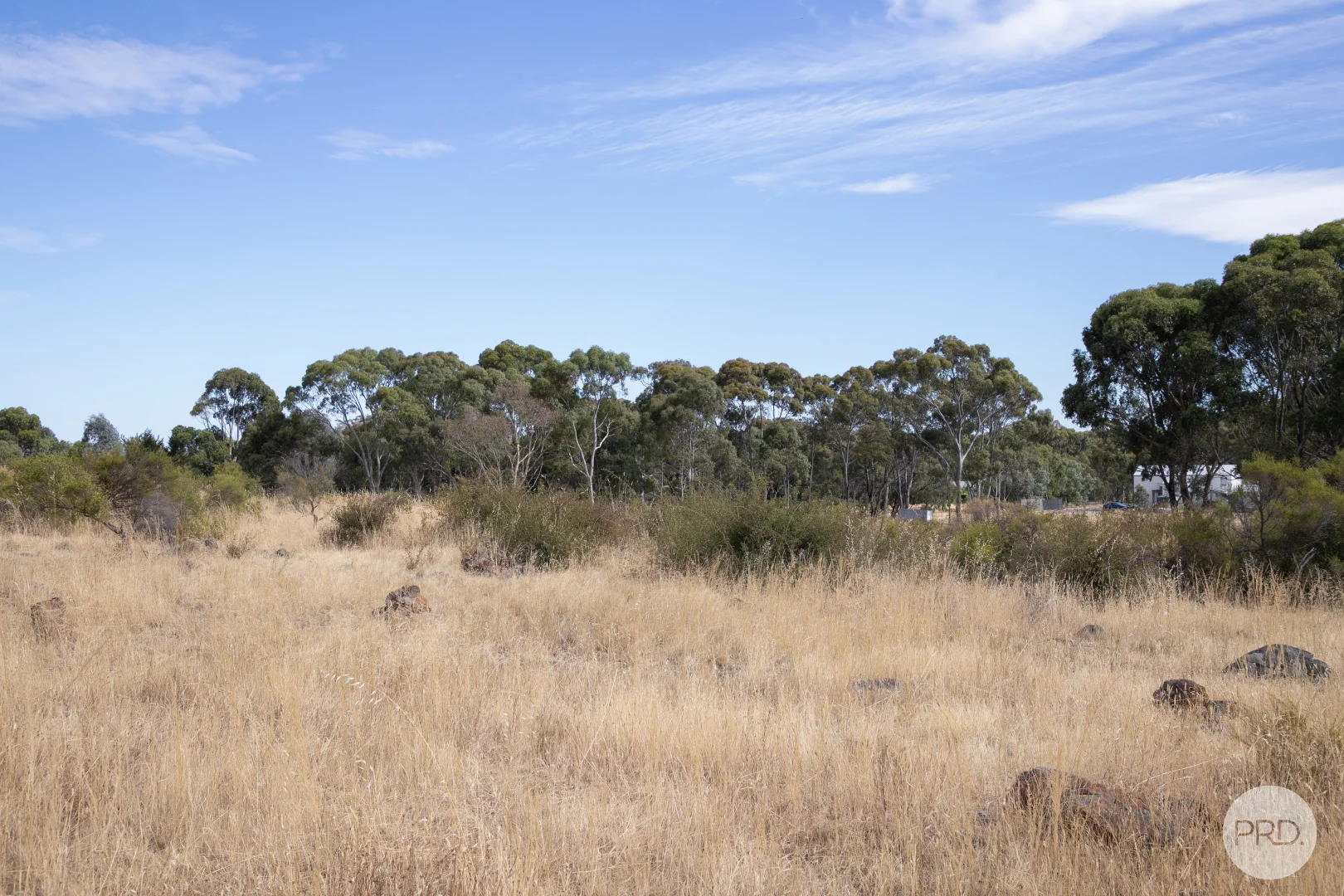 Image 13