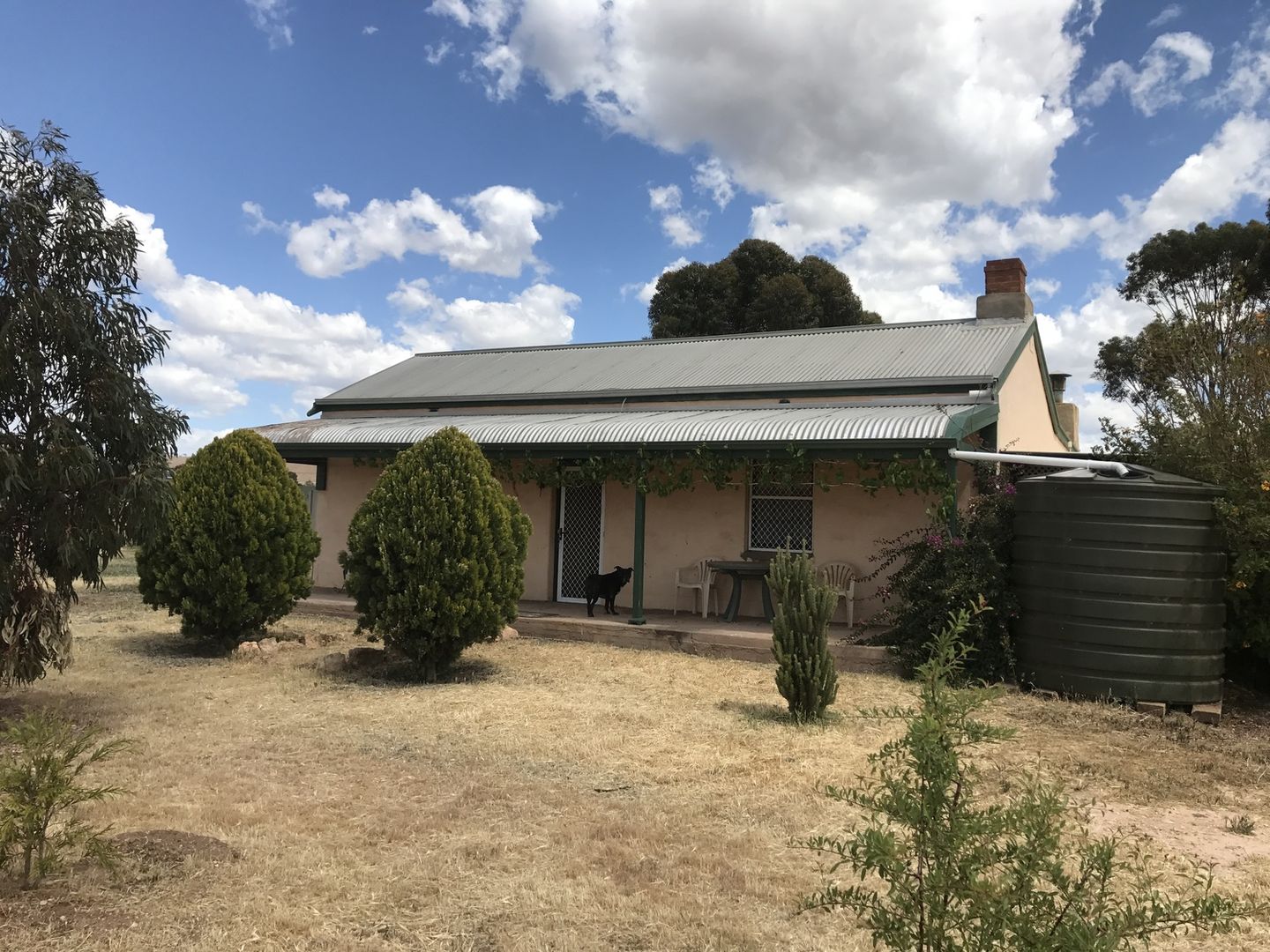 163 Hills Road, Robertstown SA 5381 Domain