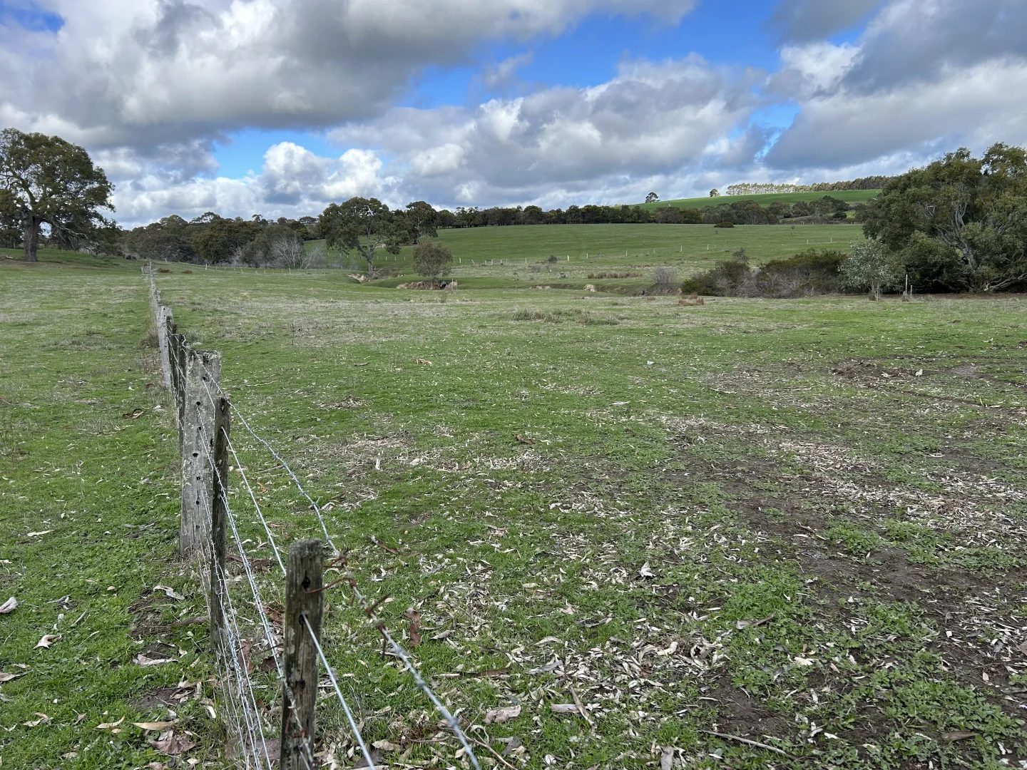 Image 18