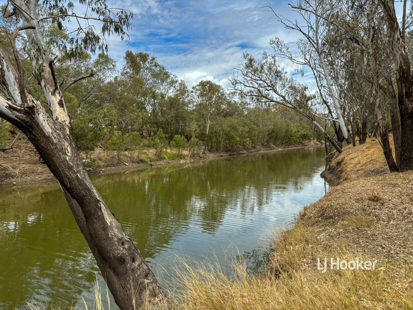 Lot 4 Carnarvon Highway, Surat QLD 4417, Image 0