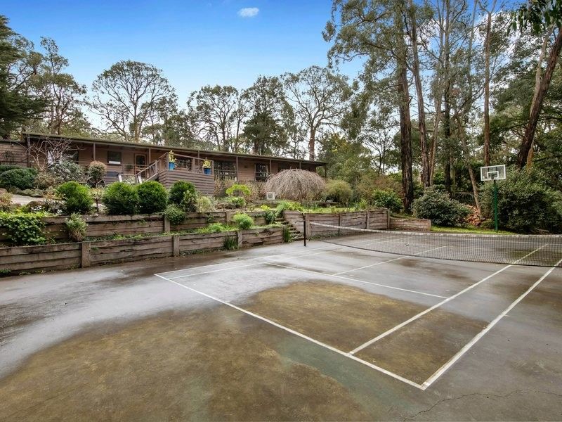 56 Beauford Road, Red Hill South VIC 3937, Image 1
