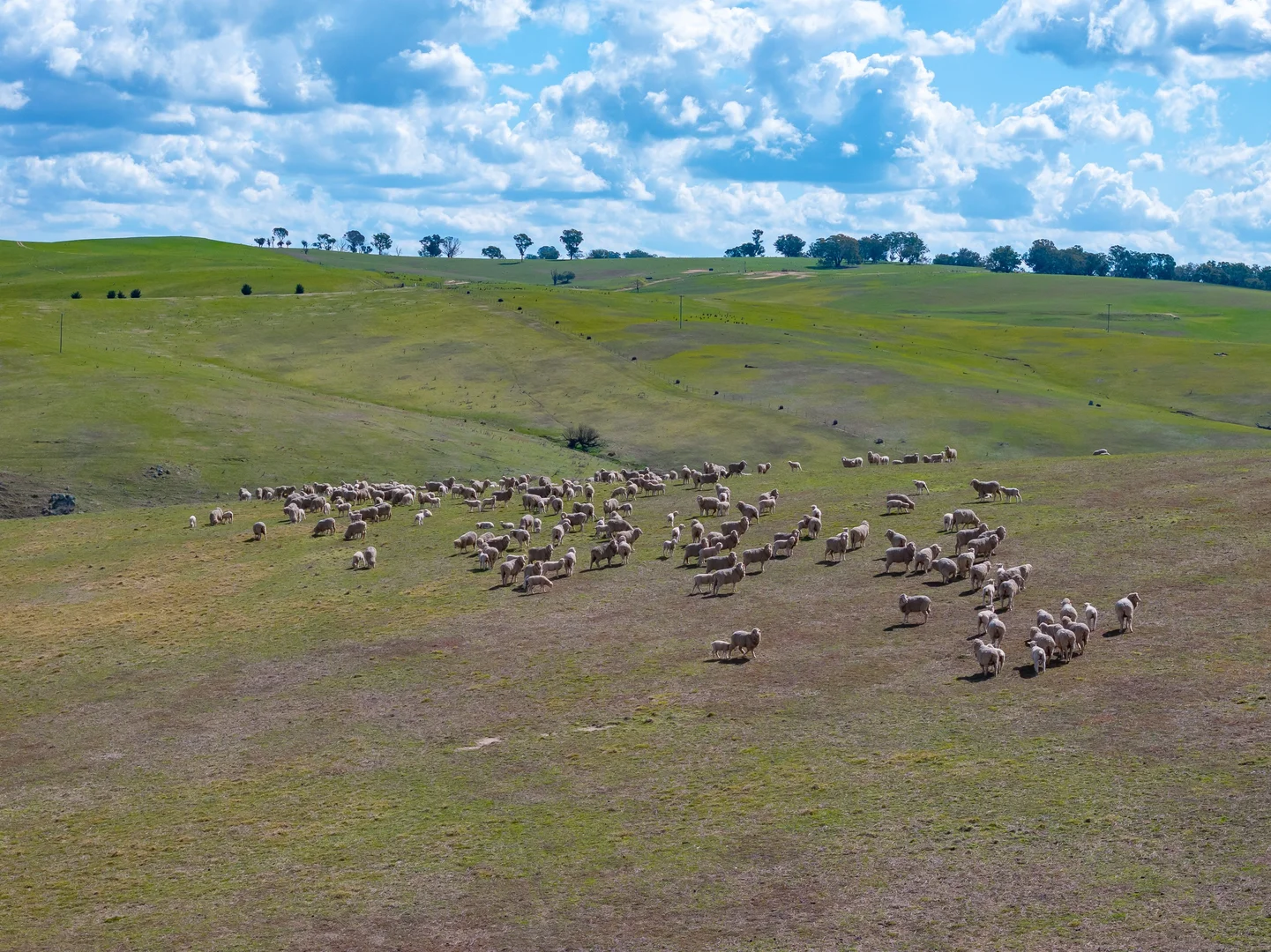 Additional image 9 of 1185 Golspie Road, Laggan NSW 2583