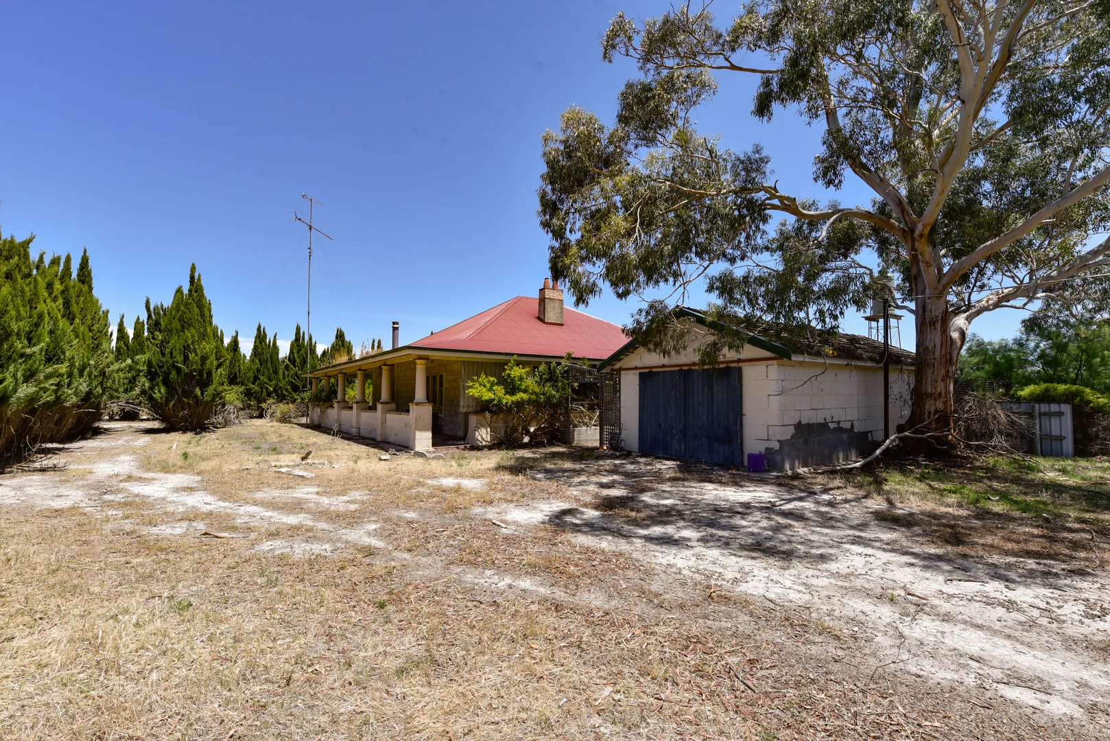 Image 13