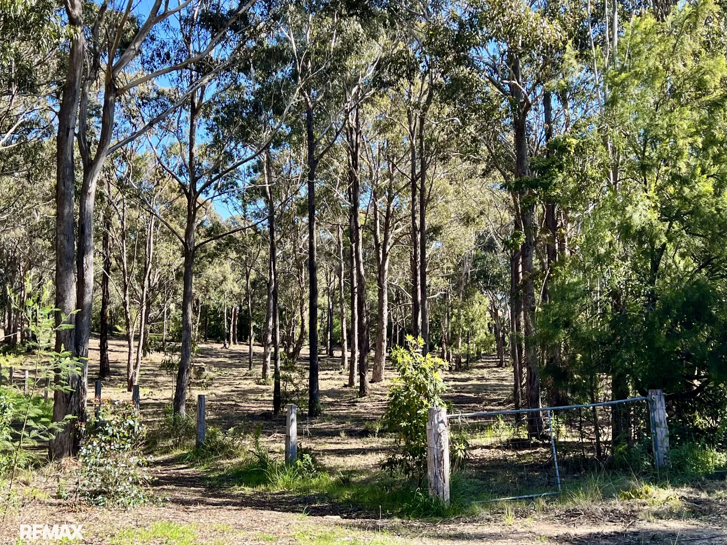 Image 14