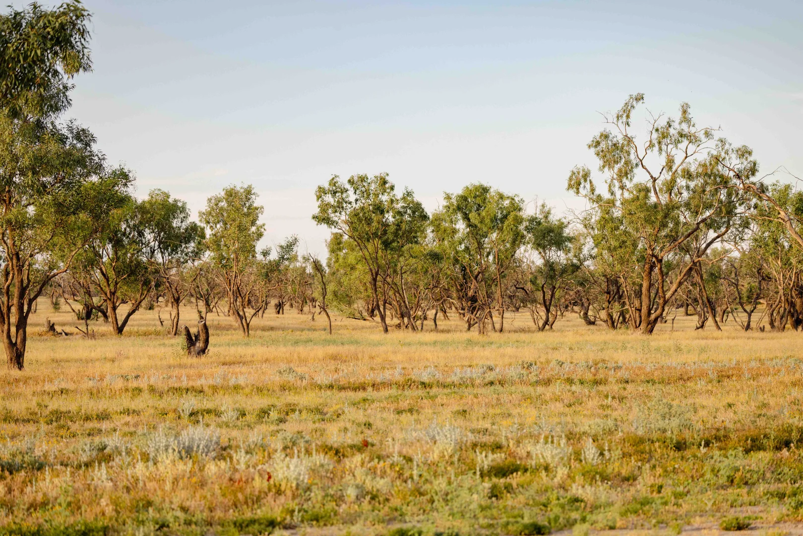 Image 10