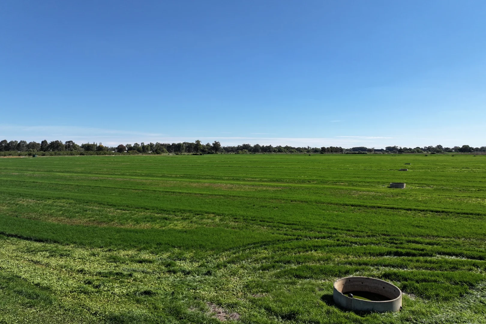 Additional image 8 of 1055 Hansen Road, Bamawm VIC 3561