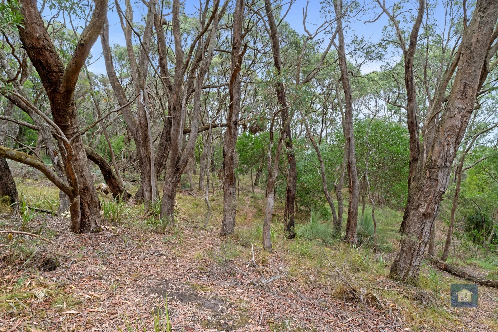 Image 9