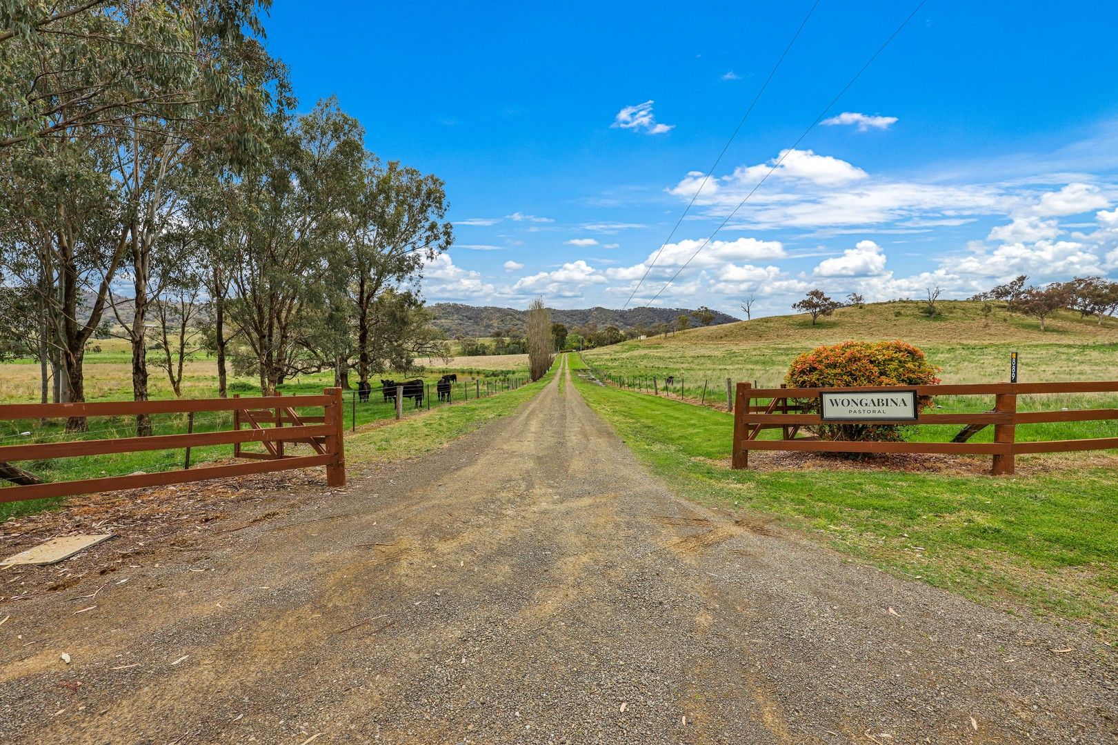 Wongabina Monteray Rd, Loomberah NSW 2340, Image 0