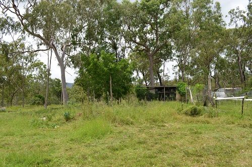 Kookaburra Dr, Ravenshoe QLD 4888, Image 2