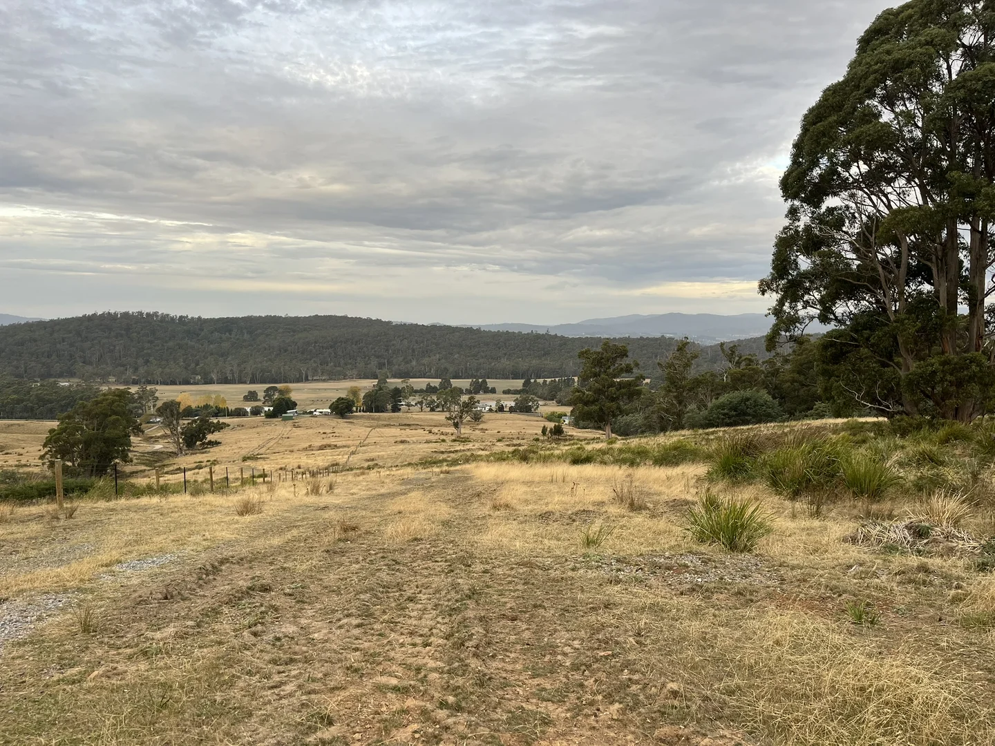 Image 14
