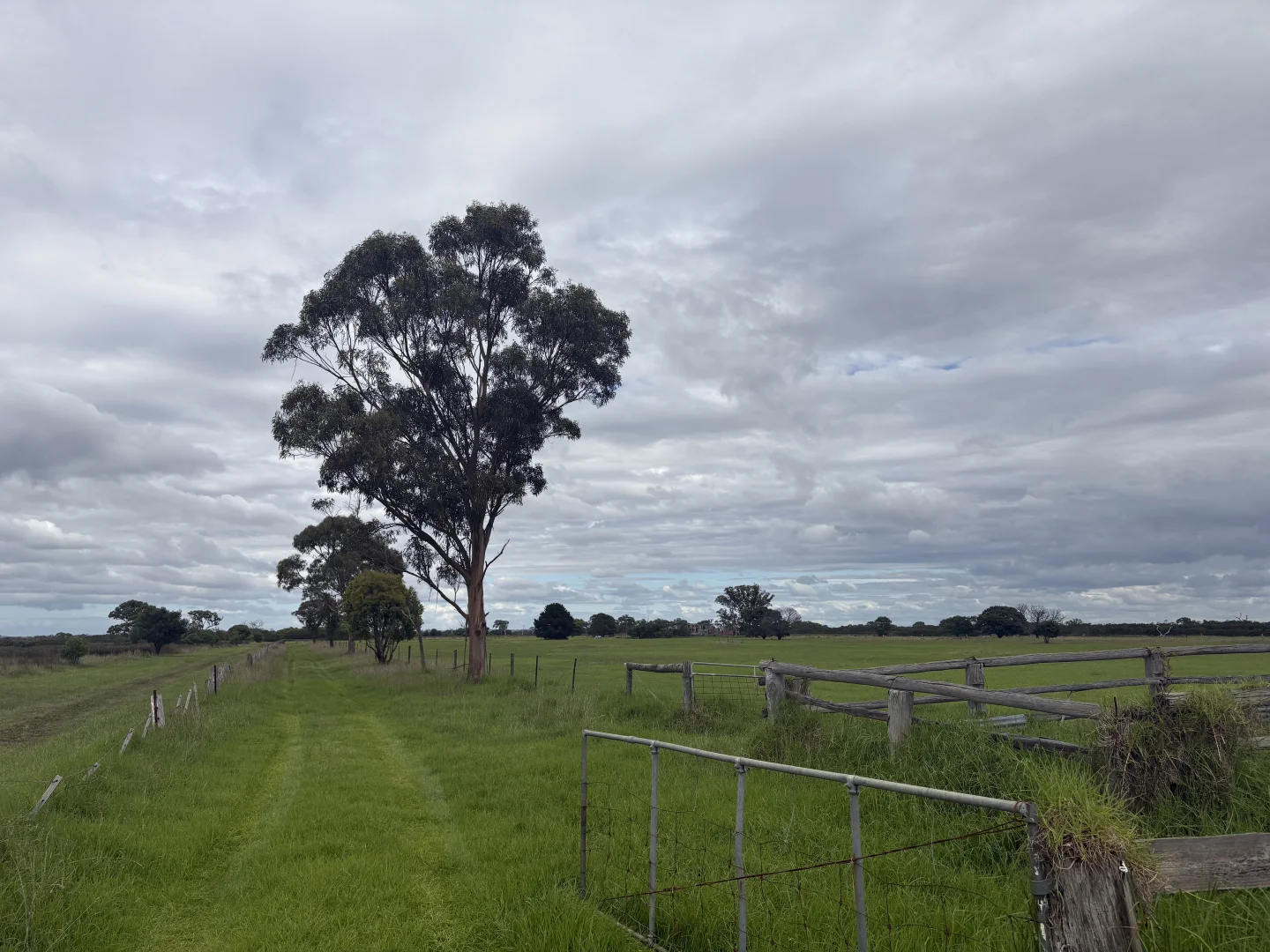 Image 18