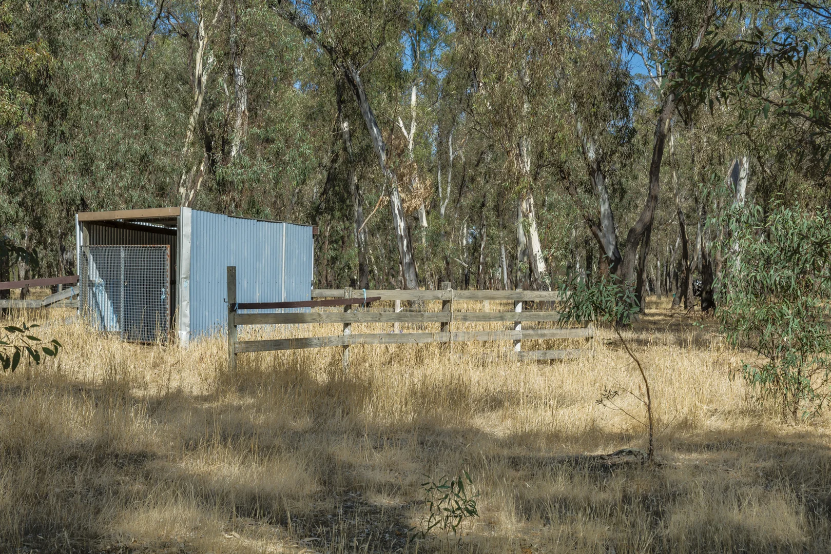 Image 9