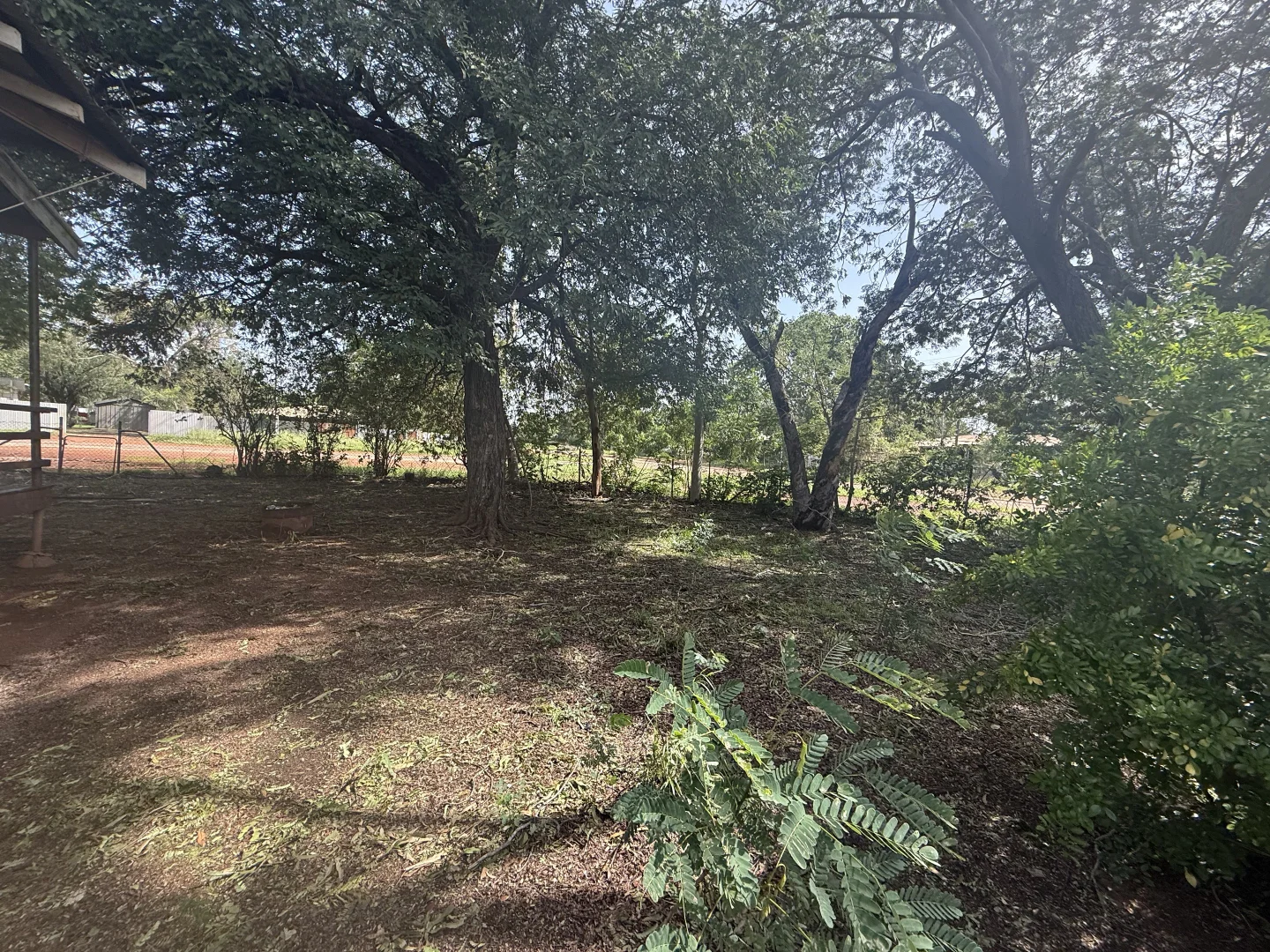 Image 13
