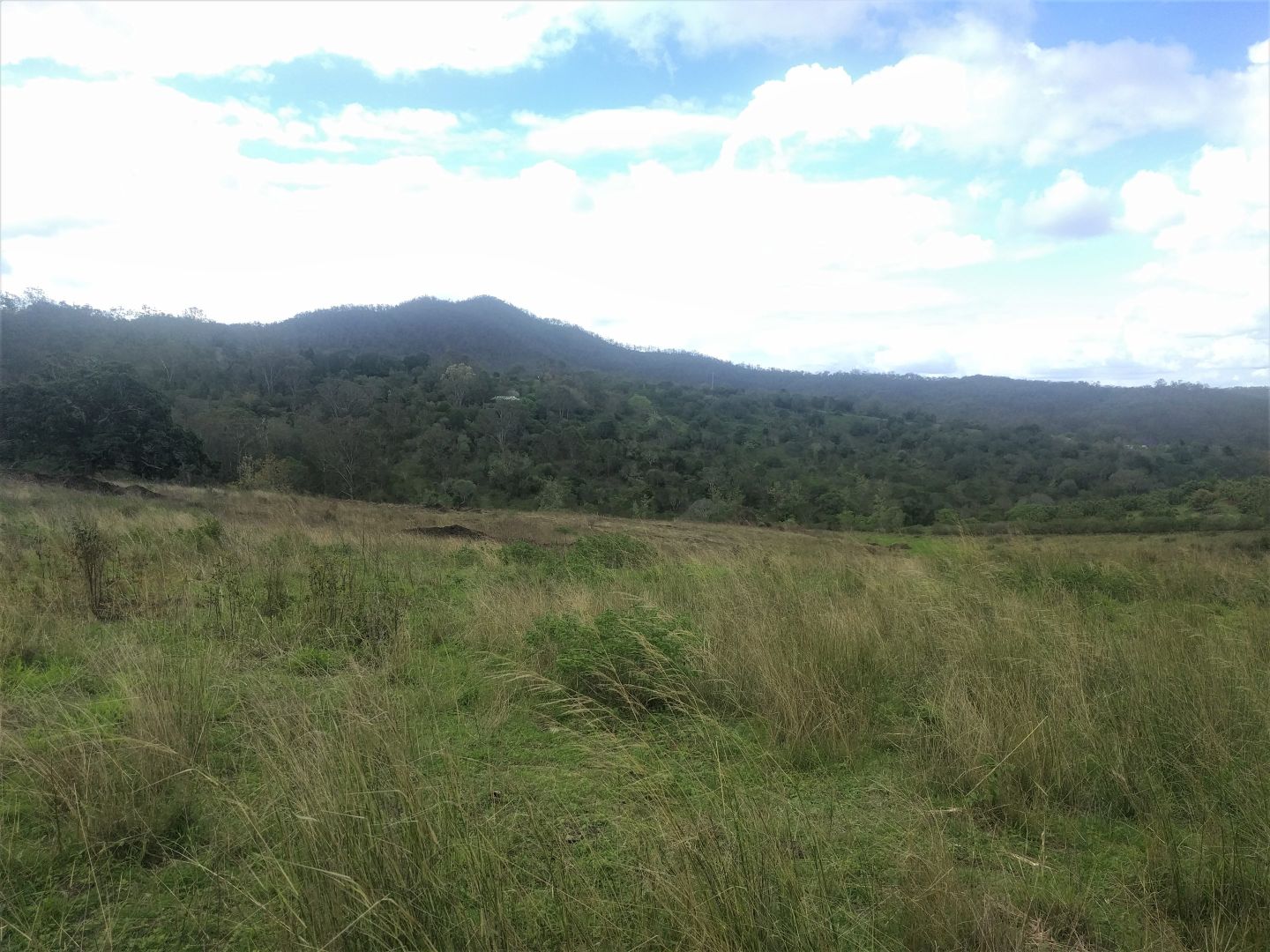 Rockmount QLD 4344, Image 2