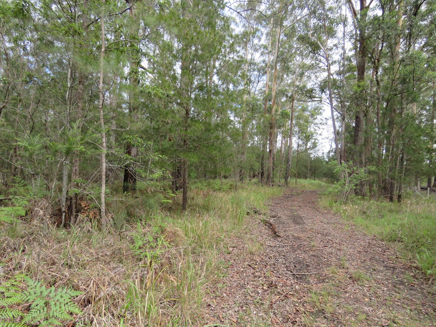 Lot 2 Wharf Road, Kundabung NSW 2441, Image 0