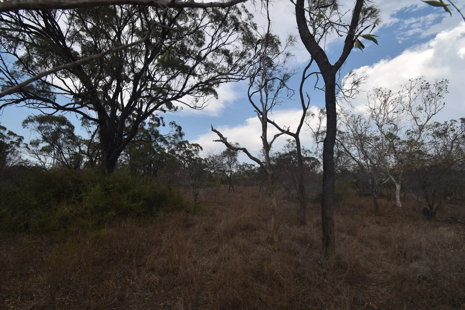 Additional image 8 of 8 Coventry Road, Guthalungra QLD 4805