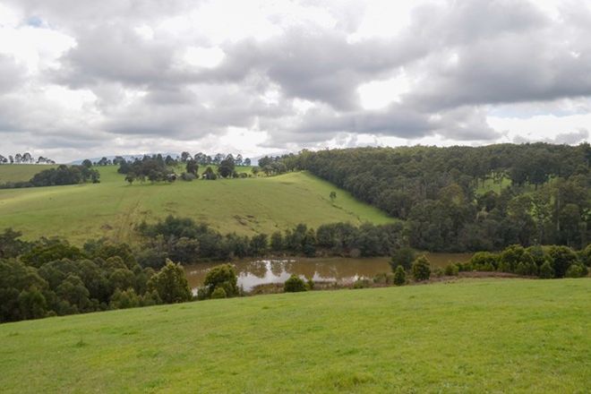 Picture of Lot 14 510 Sheepstation Creek Road, YELLINGBO VIC 3139
