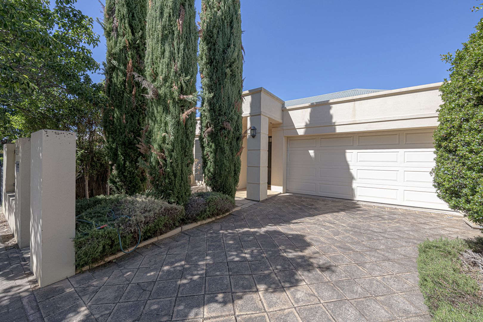 31 Thomas Street, Unley SA 5061