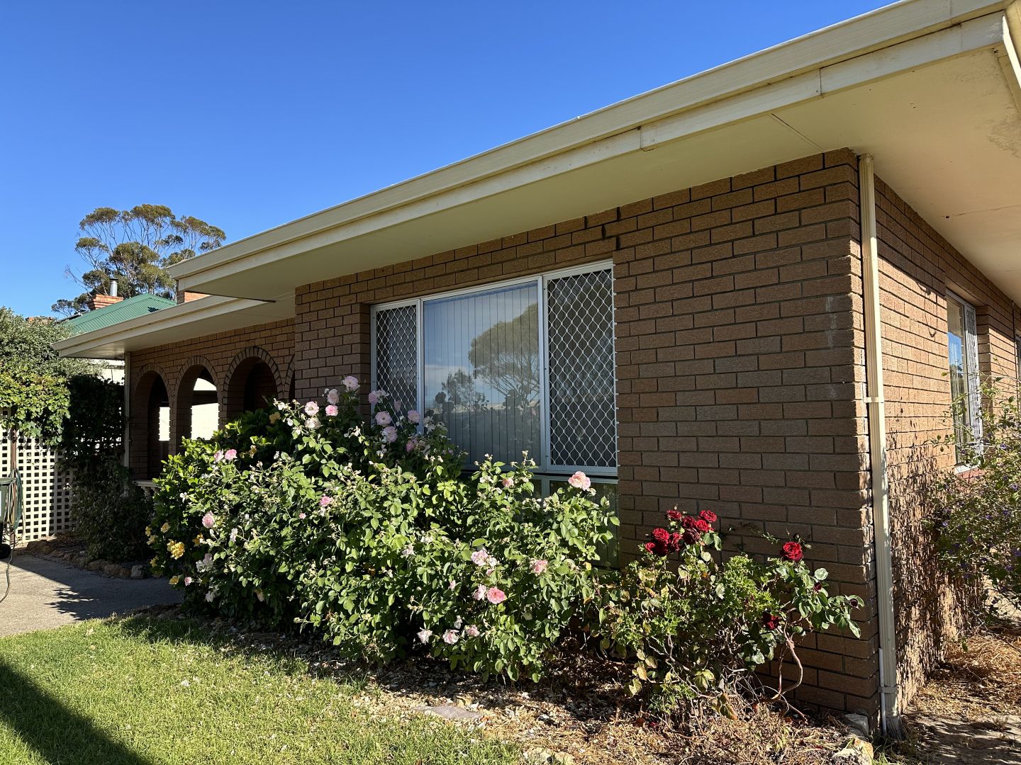 30 Britannia Street, Katanning WA 6317, Image 2