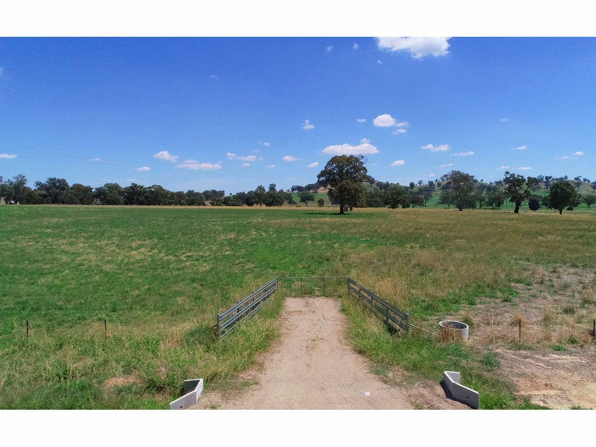 395 Jelbart Road, Jindera NSW 2642, Image 0