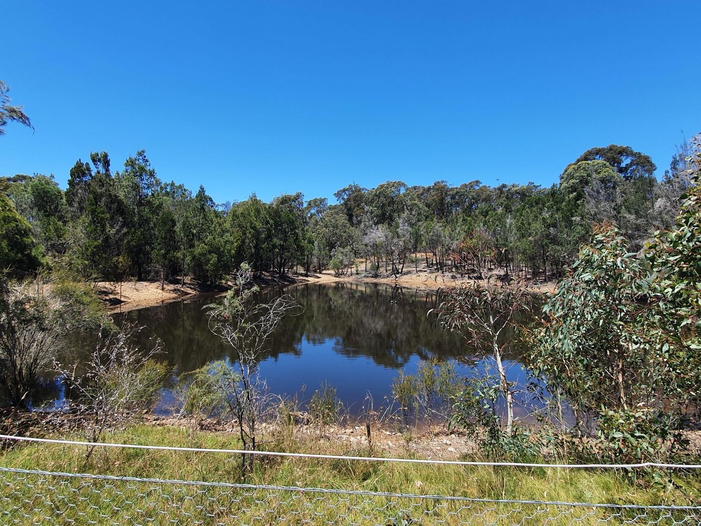 255 Willow Glen Road, Lower Boro NSW 2580, Image 2