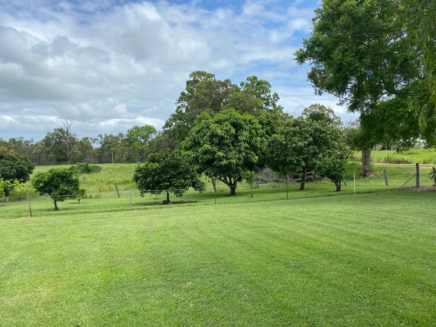 Image 21